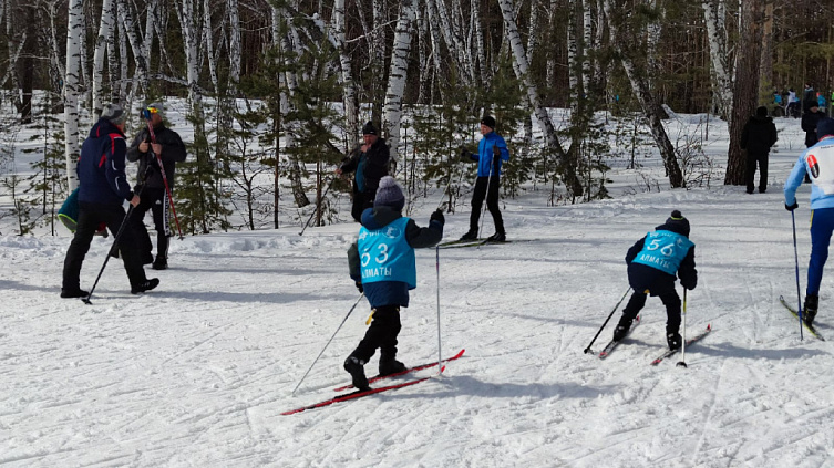 ������ ���� ���������